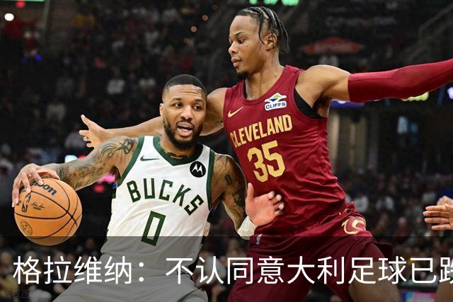 格拉维纳：不认同意大利足球已跌至最低点 对未晋级世界杯失望